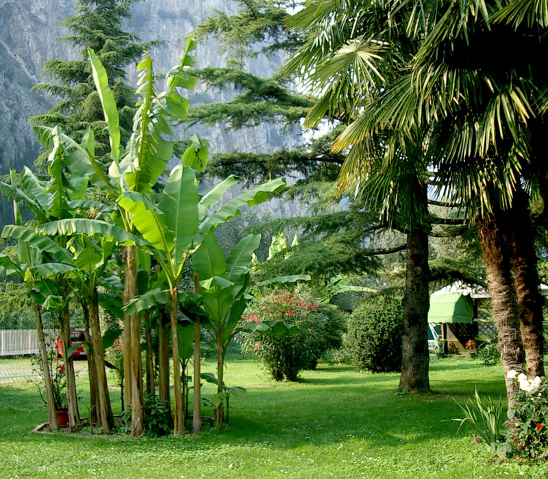 Hotel Garden - Arco